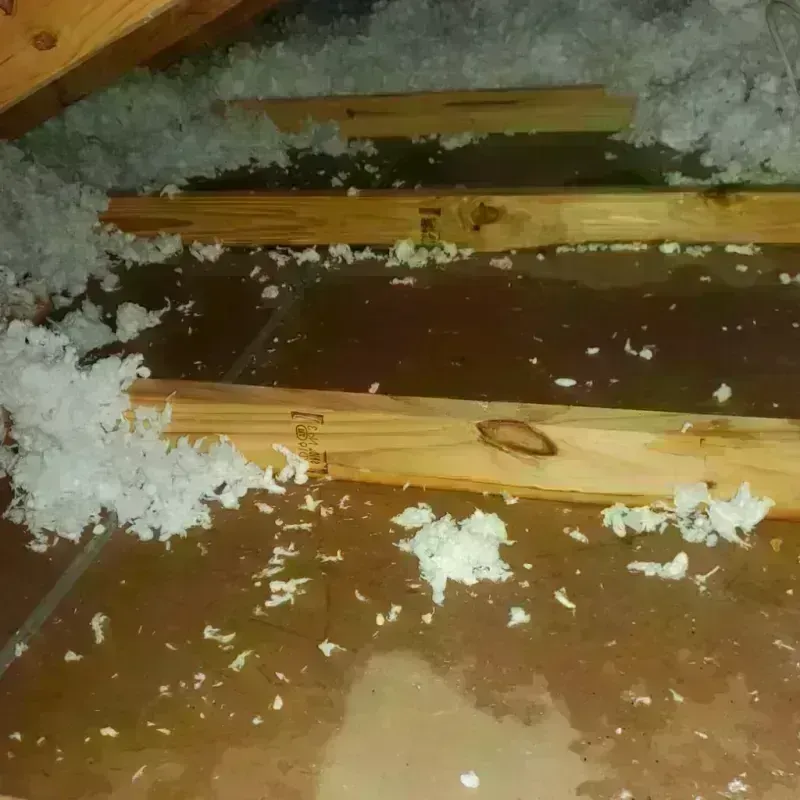 Attic Water Damage in Waldo, AR