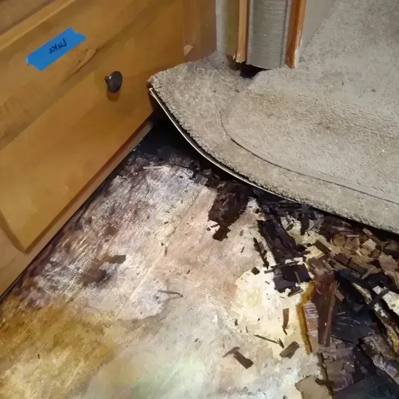 Wood Floor Water Damage in Waldo, AR